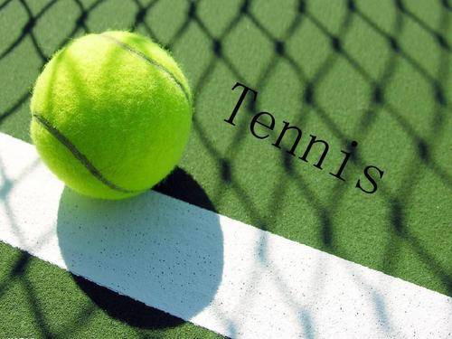 尽管未能夺 尽管未能夺